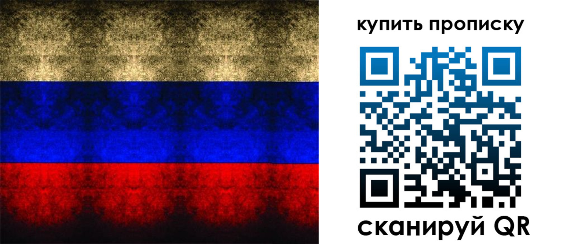прописка в Лодейном Поле